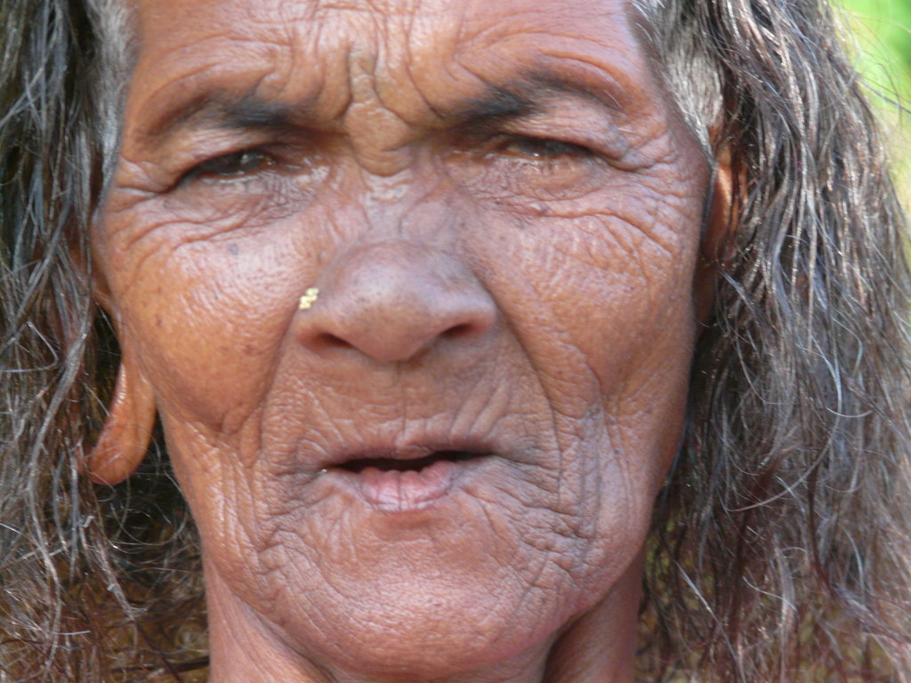 Build 14 new homes for indigenous tribes in India