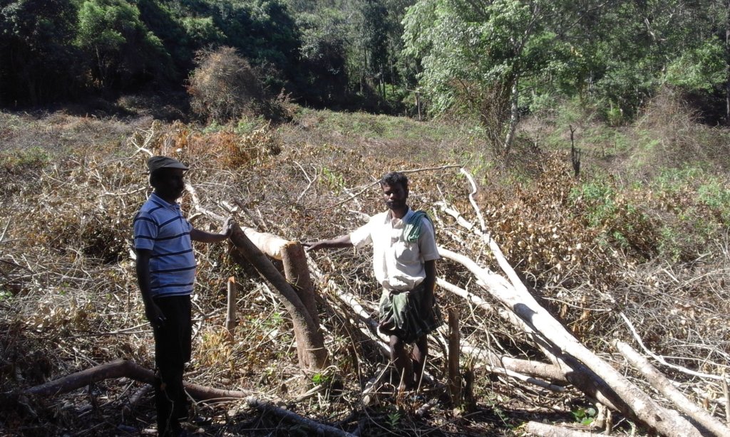 Save the Forest from Tree Fellers in Palani Hills