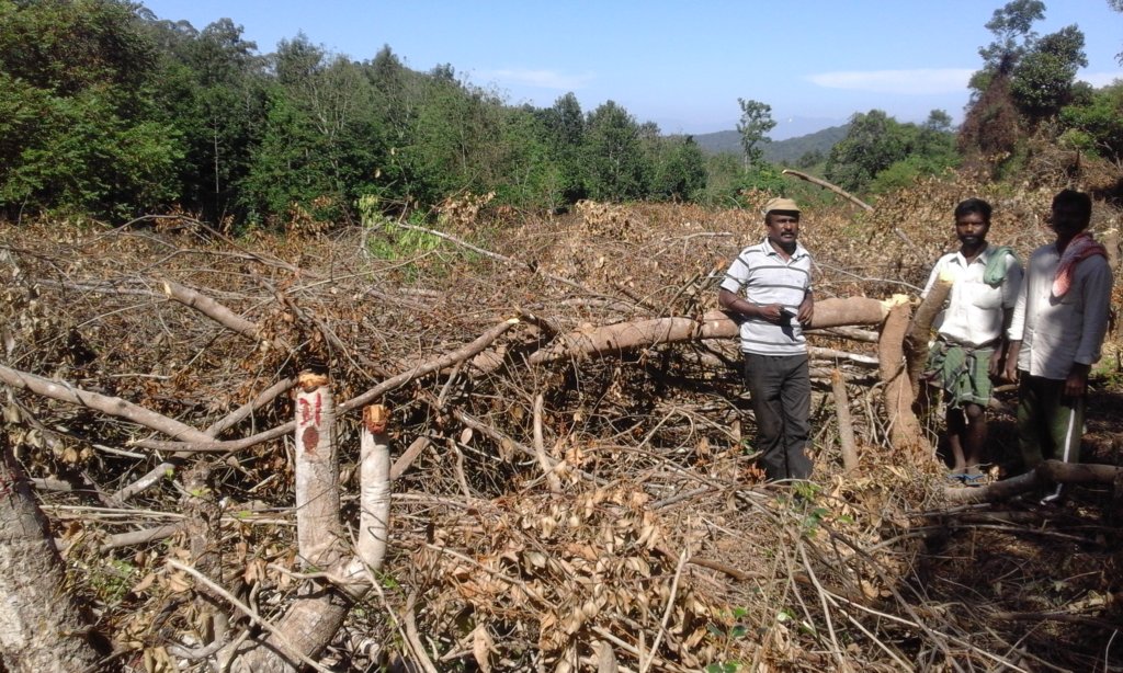 Save the Forest from Tree Fellers in Palani Hills