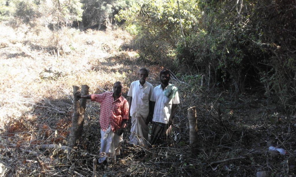 Save the Forest from Tree Fellers in Palani Hills