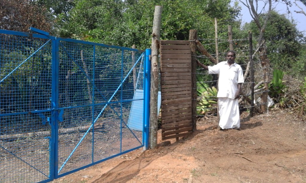 Save the Forest from Tree Fellers in Palani Hills