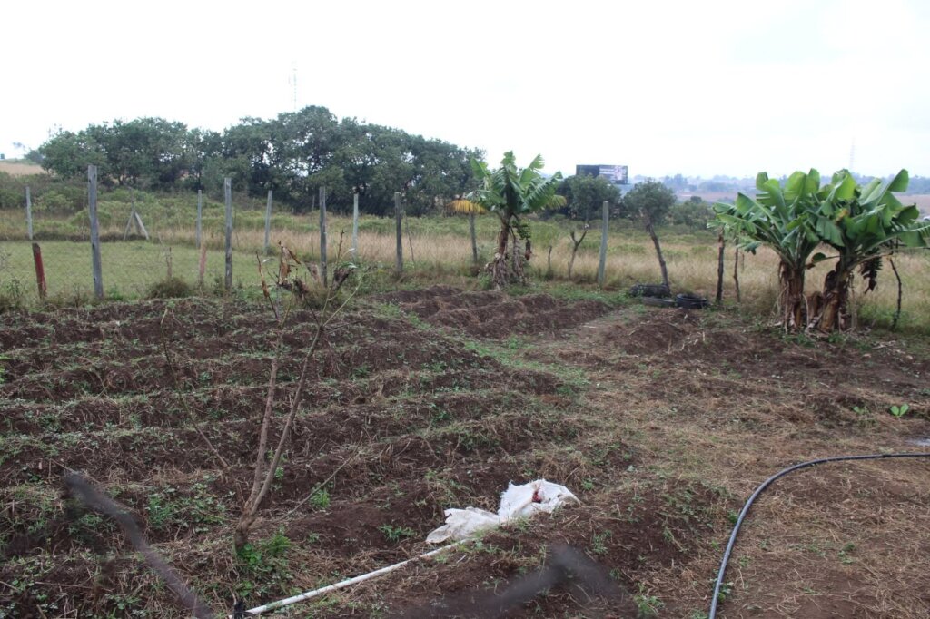 Elangeni NCP Garden
