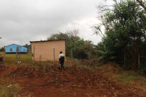 Mlindazwe NCP Garden