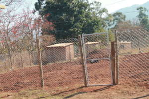 Vegetable garden at one of the homesteads