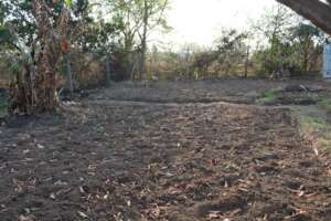 Garden is prepped and ready for planting!