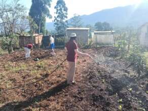 Mlindazwe NCP Garden