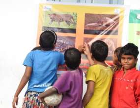 Students recognising the pangolin on display board