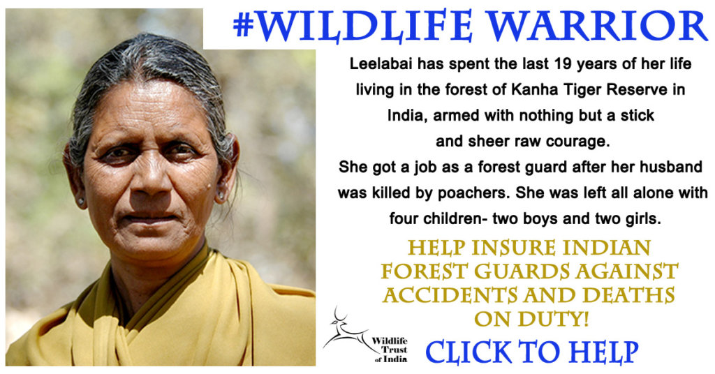 Secure the Lives of India's Guardians of the Wild
