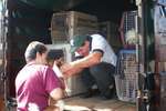 Spay/neuter pick up