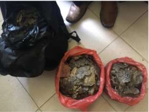 Bags of pangolin scales confiscated by the team.