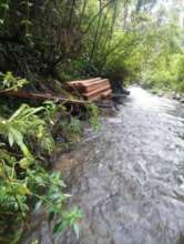 A pile of processed timber by Batun river.