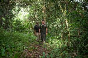 Patrolling the forest. Photo by Andrew Walmsley.