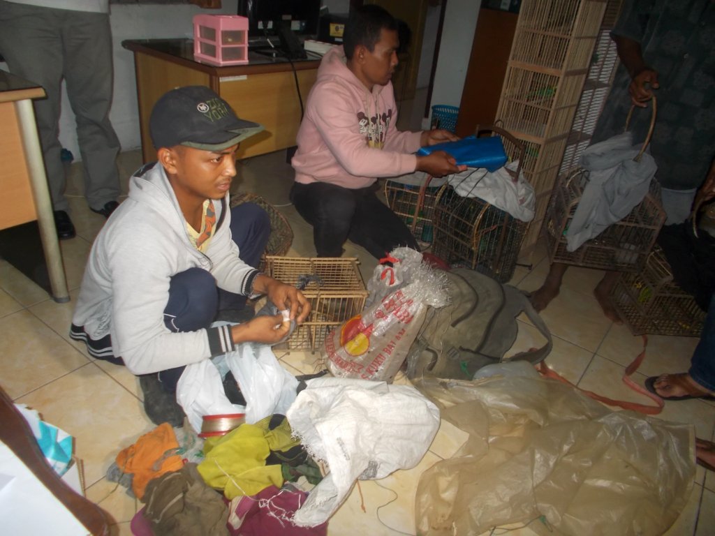 Tackling Wildlife Crime in Sumatra