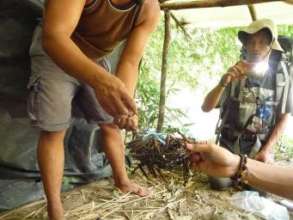 Destroying wildlife snare