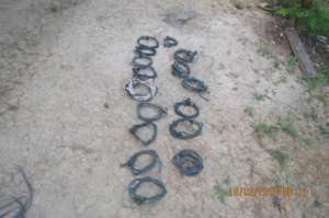 Snares removed from forest