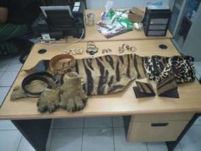 Tiger parts for sale