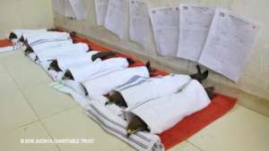 Black kites recovering from anaesthesia