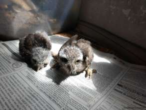 HOMELESS BABIES UNDER OUR CARE