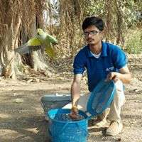 Indian Ring-necked parakeet release