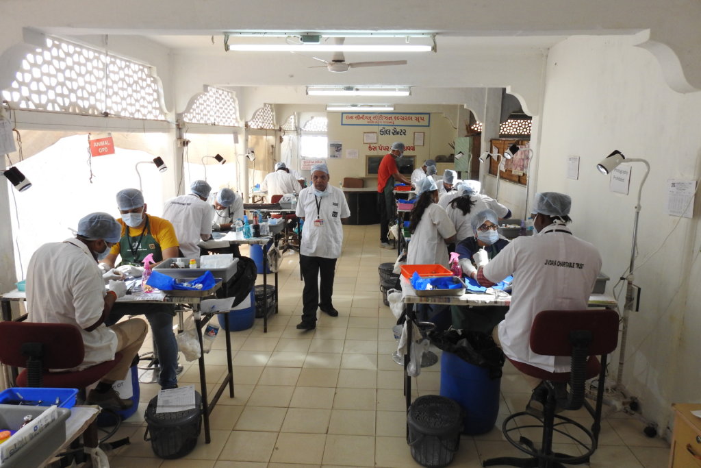 Avian Rehabilitation