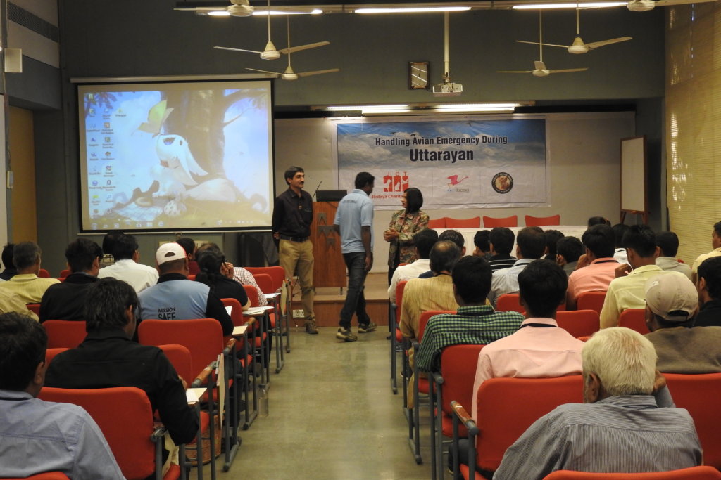 Avian Rehabilitation