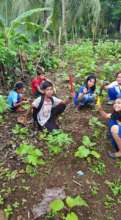 school gardening team with fresh crops