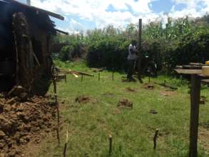 Building temporal kitchen for the school