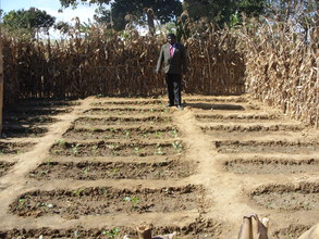 Nutrition Garden in Boma village, Mzimba, Malawi