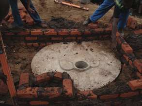 Elephant toilet slab