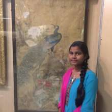 @ Salarjung Museum