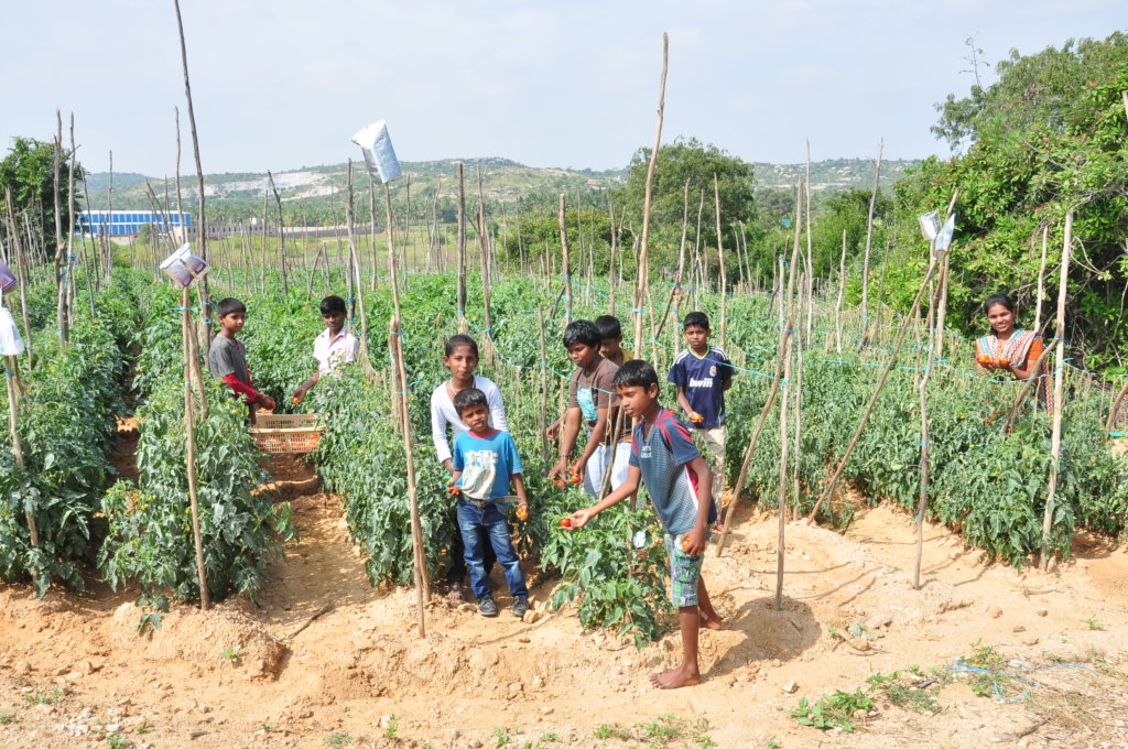 Support the Incomplete Orphanage Building