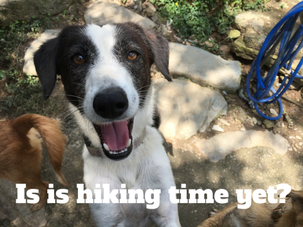 Give the Gift of Sponsorship