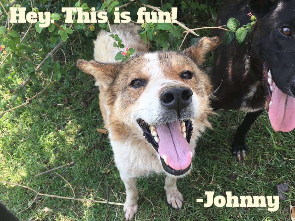 Give the Gift of Sponsorship