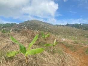 Increasing food production