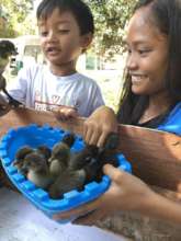 Improving capacities