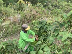 Continue with assistance