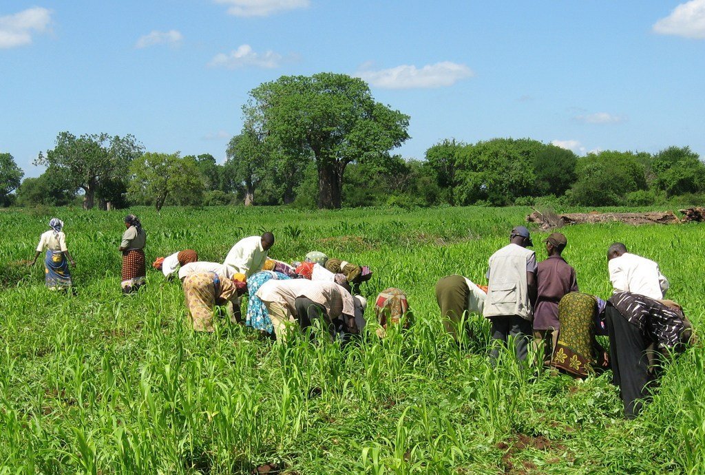 Permanent Clean Water for a Community in Kenya