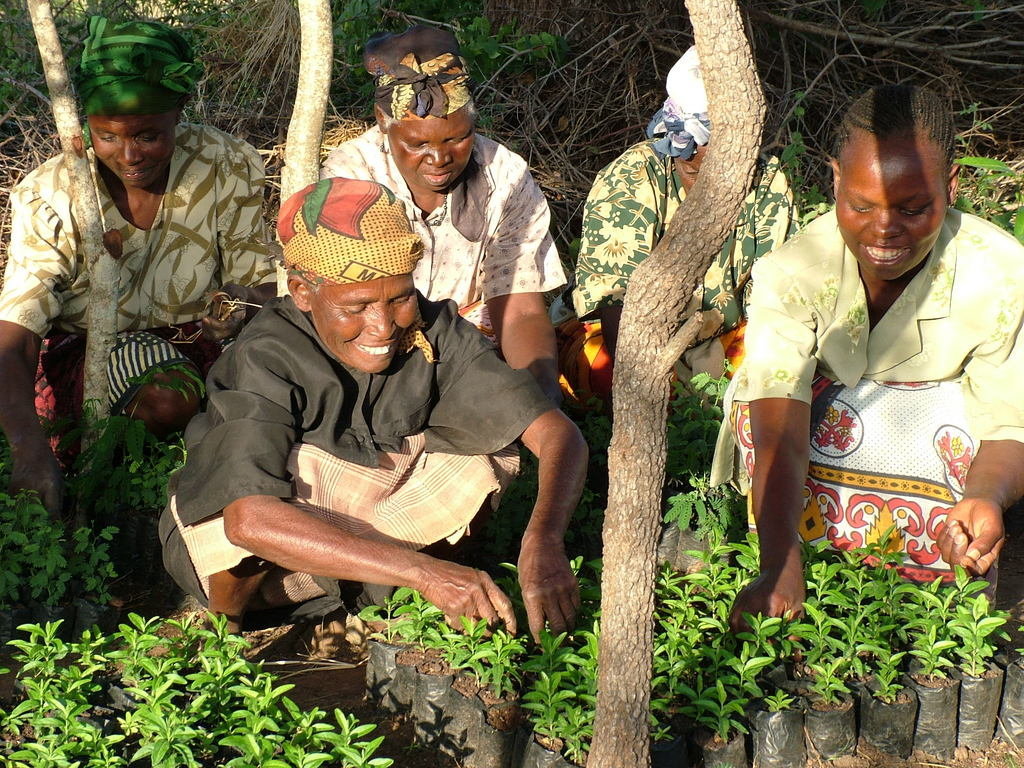 Permanent Clean Water for a Community in Kenya