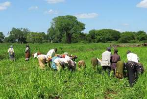 Improving food production