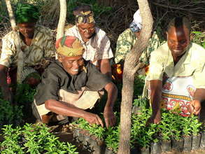 Establishing community tree nurseries