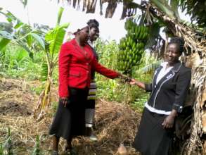 Training in agriculture