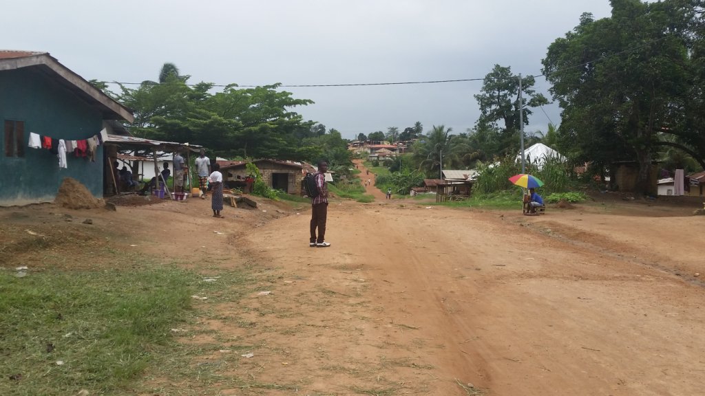 Support FREE in-home healthcare in Liberia