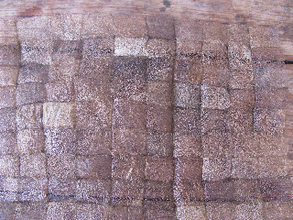 Our next product--a non-spun textile made from raw silk