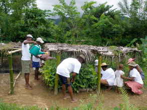 Ambodivoangy farmers taking care of their nursery