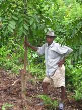 Fenozara Justin, Ambodivoangy