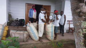 Farmers weighing cocoons
