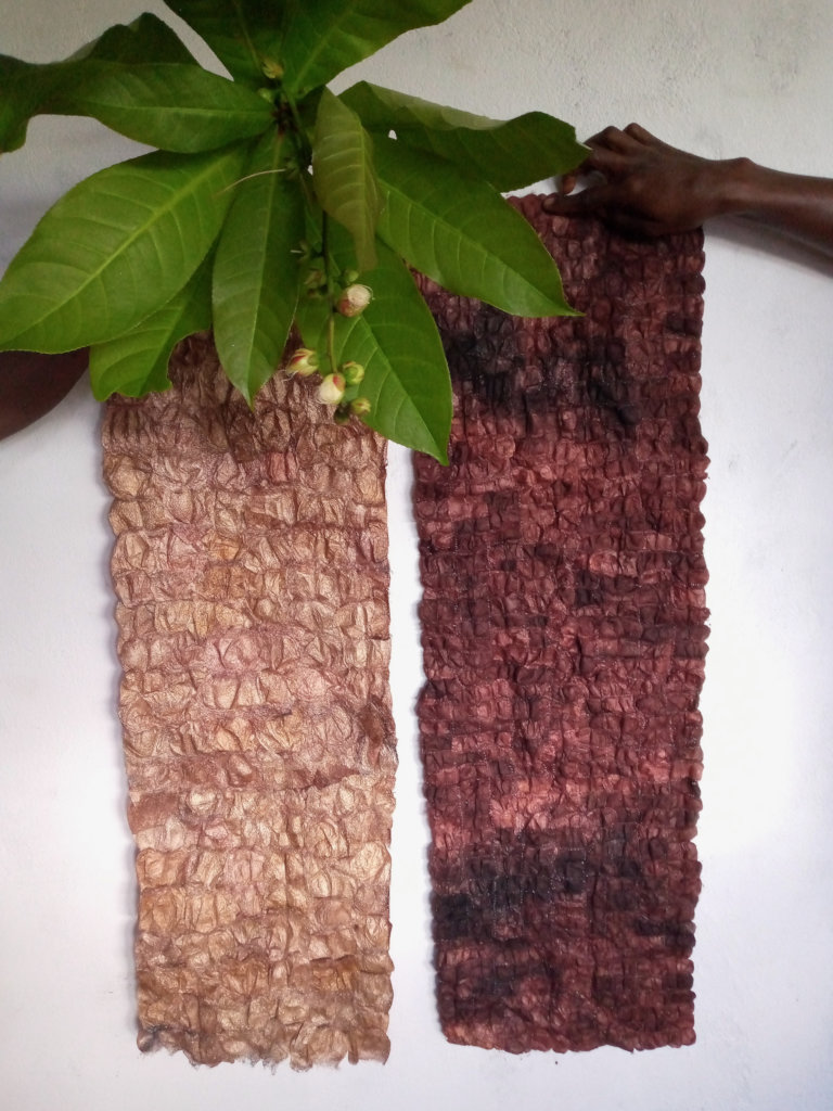 C. apollina silk vs B. mori silk, same plant dye