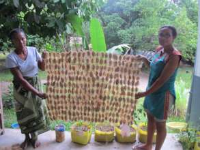Mamaline and Lalaina show how cocoons are shipped