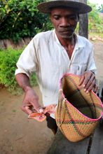 Jean Argent with adult A. suraka