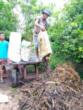 Collecting and transporting water hyacinth